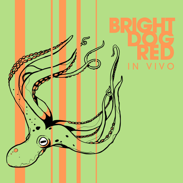 Bright Dog Red - In Vivo