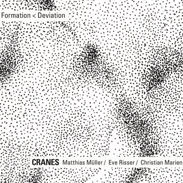 Cranes - Formation Deviation