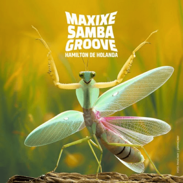 Hamilton de Holanda - Maxixe Samba Groove