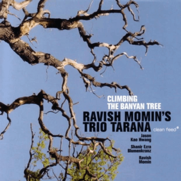 Ravish Momin's Trio Tarana - Climbing The Banyan Tree