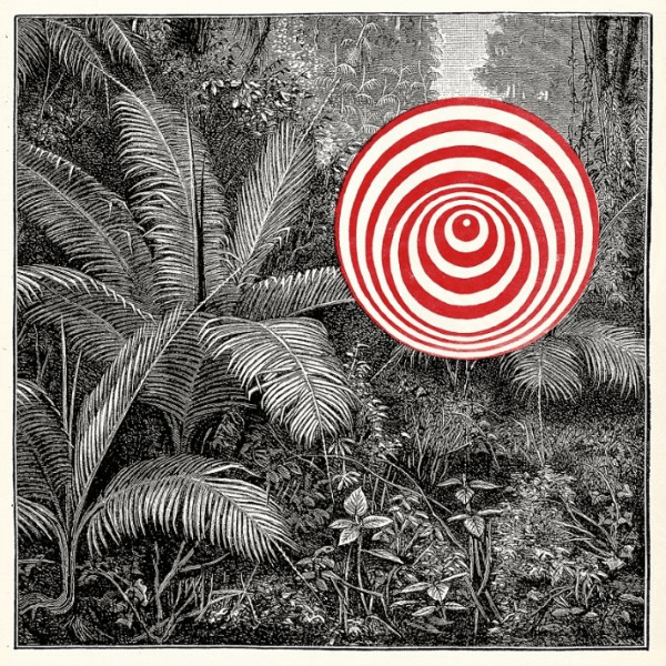 Tropiques - Into The Wild