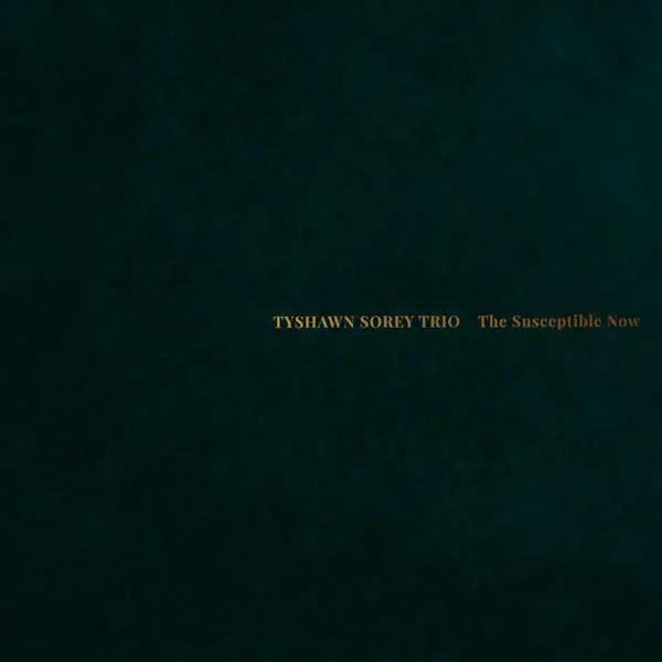 Tyshawn Sorey - The Susceptible Now