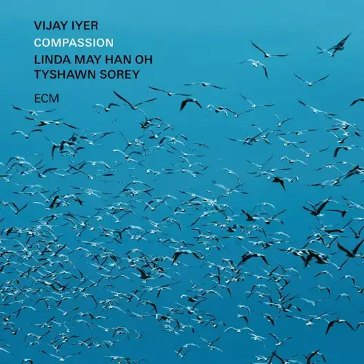 Vijay Iyer Compassion ECM